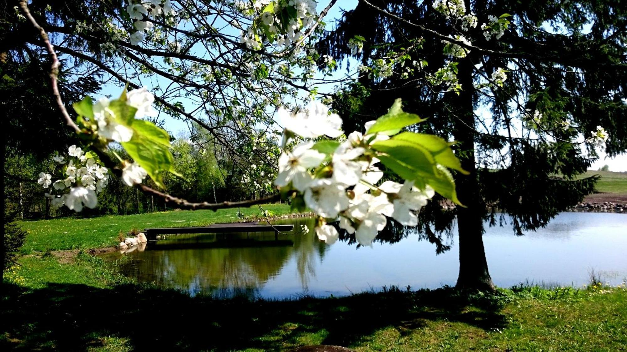 Dworek Szarki Bagian luar foto